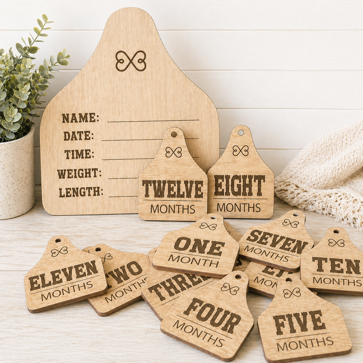 Farm-Inspired Wooden Baby Milestone Tags Set